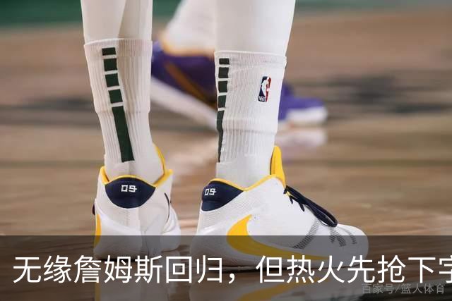 无缘詹姆斯回归，但热火先抢下字母哥，莱利：我们还要降落一架飞机
