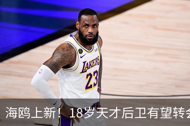 海鸥上新！18岁天才后卫有望转会英格兰，天赋顶级布莱顿要买